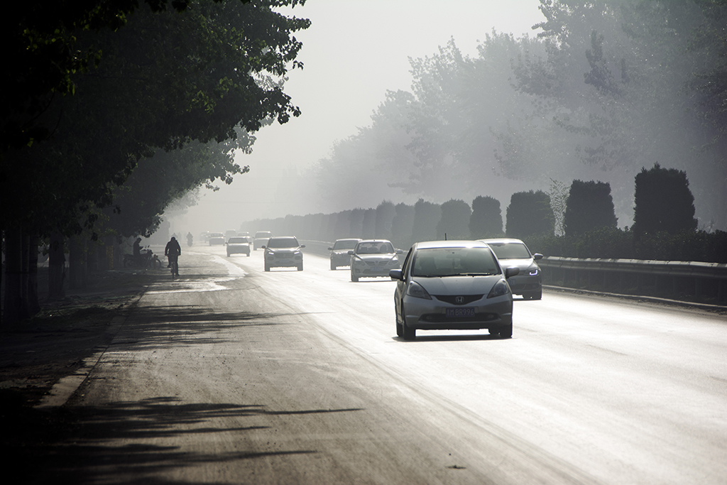 ����.........