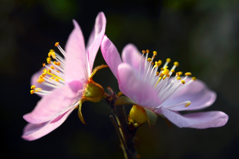 nEO_IMG_ ����΢��ʰ��     (1).jpg