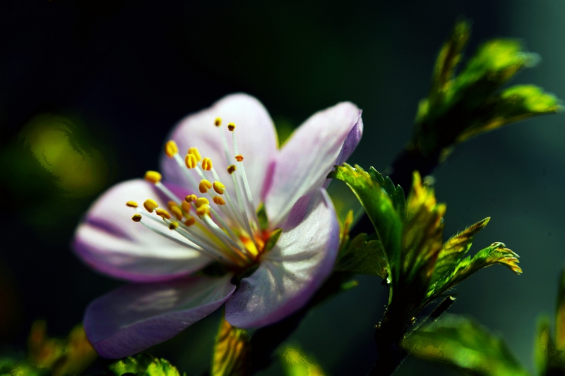 nEO_IMG_ ����΢��ʰ��     (2).jpg