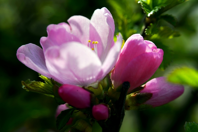 nEO_IMG_ ����΢��ʰ��     (3).jpg