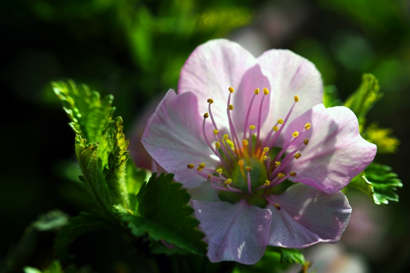 nEO_IMG_ ����΢��ʰ��     (5).jpg