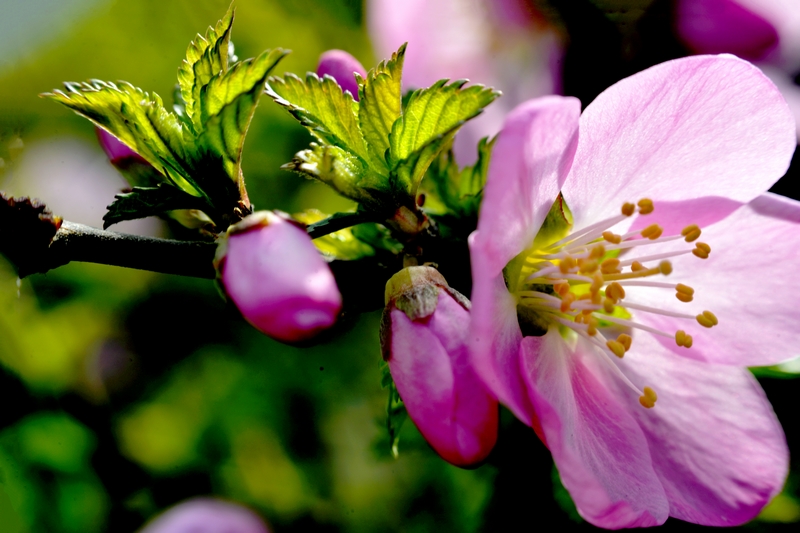 nEO_IMG_ ����΢��ʰ��     (4).jpg