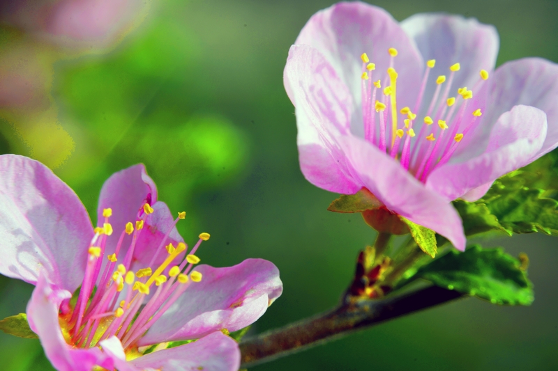 nEO_IMG_ ����΢��ʰ��     (6).jpg