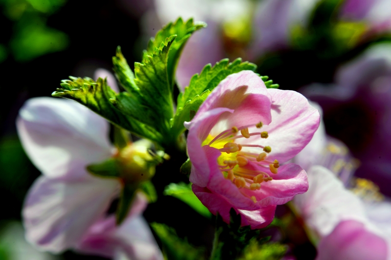 nEO_IMG_ ����΢��ʰ��     (7).jpg