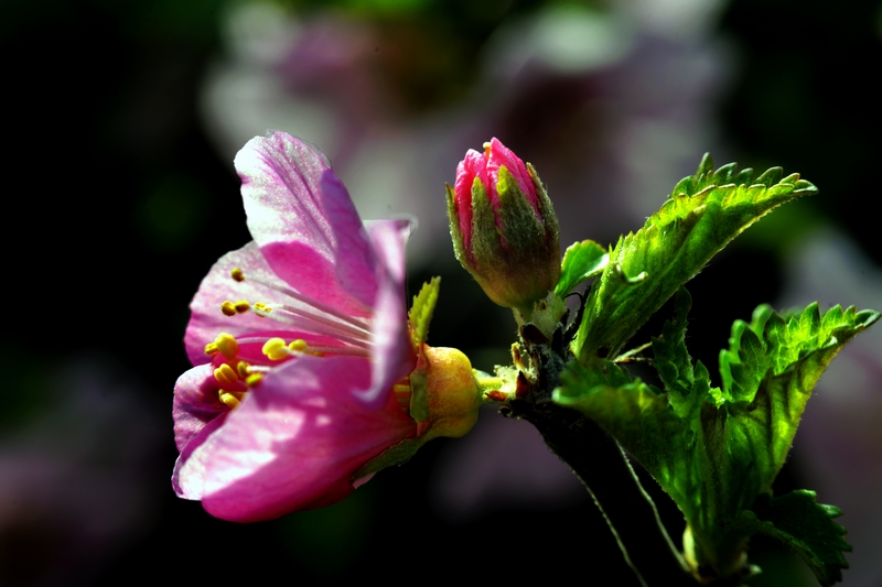 nEO_IMG_ ����΢��ʰ��     (8).jpg