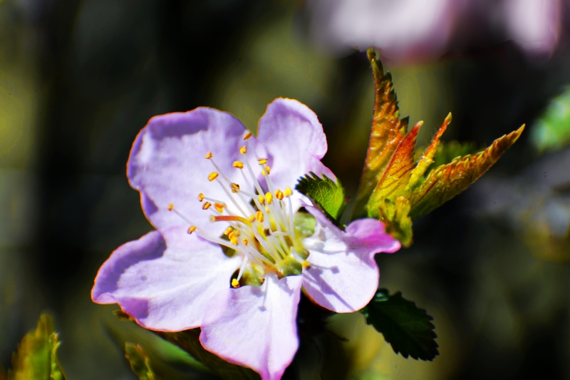 nEO_IMG_ ����΢��ʰ��     (10).jpg