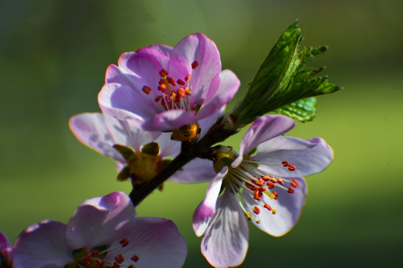 nEO_IMG_ ����΢��ʰ��     (12).jpg