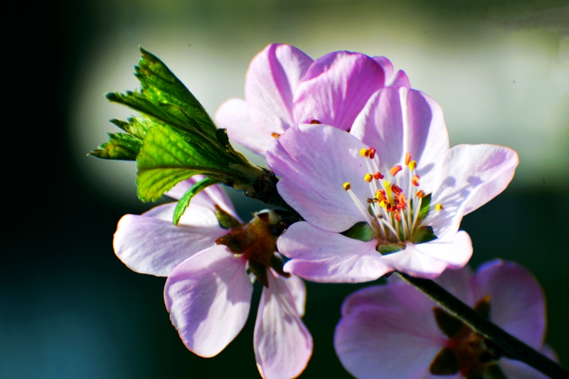 nEO_IMG_ ����΢��ʰ��     (13).jpg