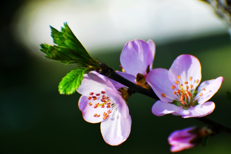 nEO_IMG_ ����΢��ʰ��     (14).jpg