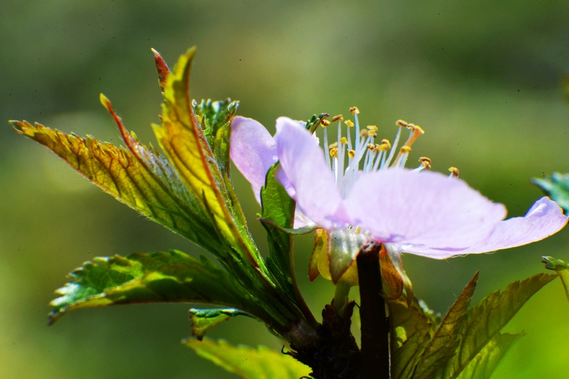 nEO_IMG_ ����΢��ʰ��     (16).jpg