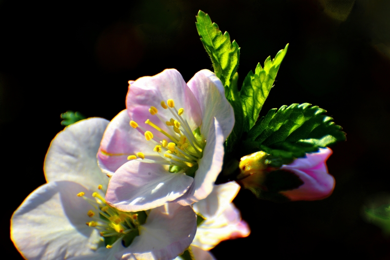 nEO_IMG_ ����΢��ʰ��     (15).jpg