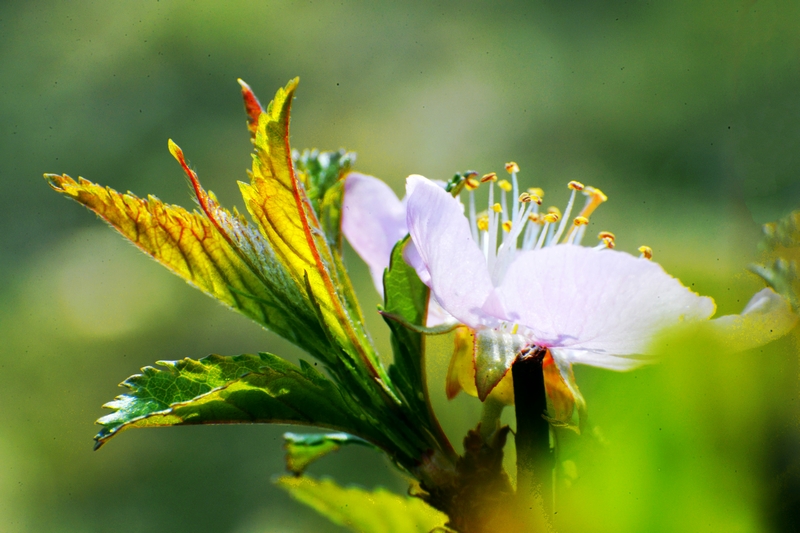 nEO_IMG_ ����΢��ʰ��     (17).jpg