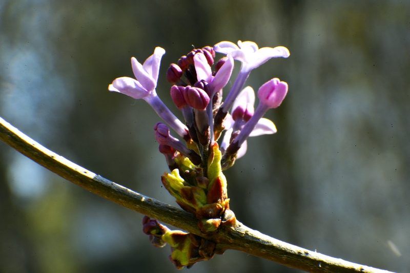 nEO_IMG_ ����΢��ʰ��     (18).jpg