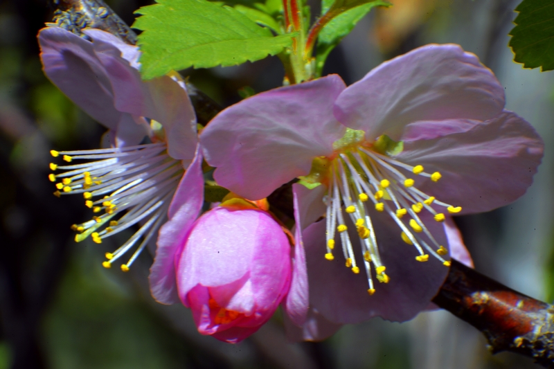 nEO_IMG_ ����΢��ʰ��     (20).jpg