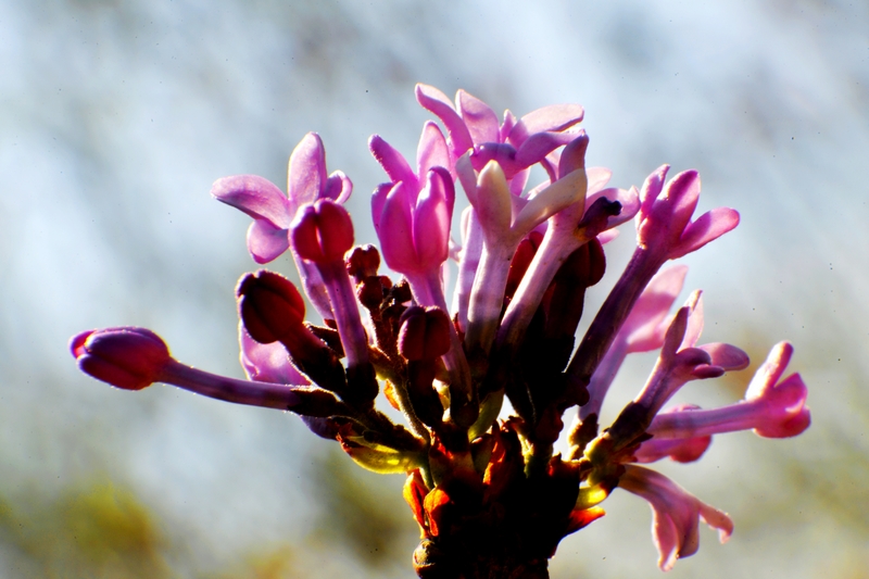 nEO_IMG_ ����΢��ʰ��     (19).jpg