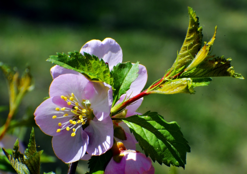 nEO_IMG_ ����΢��ʰ��     (21).jpg