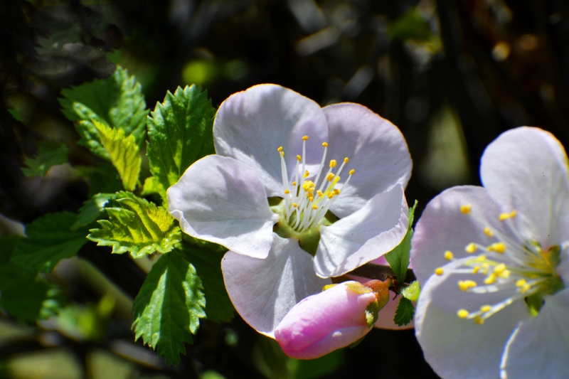 nEO_IMG_ ����΢��ʰ��     (22).jpg