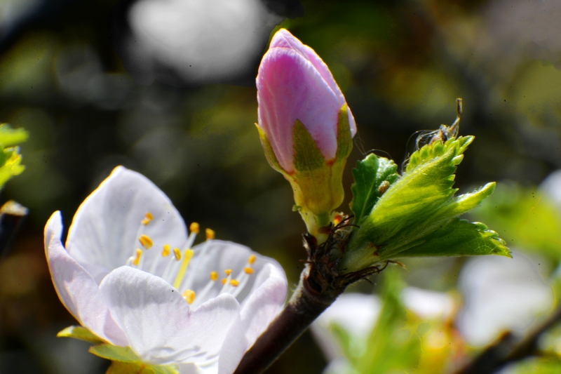 nEO_IMG_ ����΢��ʰ��     (24).jpg