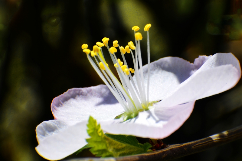 nEO_IMG_ ����΢��ʰ��     (23).jpg