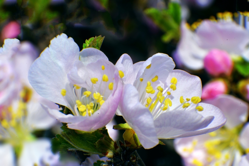 nEO_IMG_ ����΢��ʰ��     (25).jpg