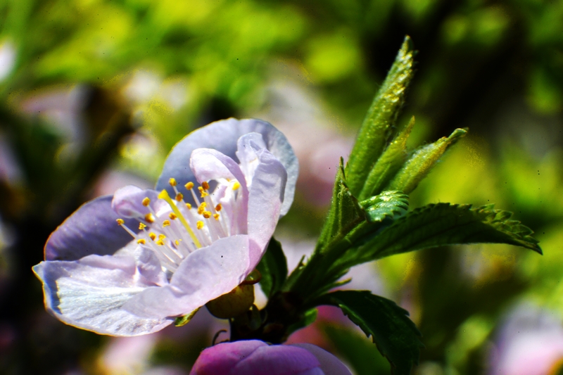 nEO_IMG_ ����΢��ʰ��     (26).jpg