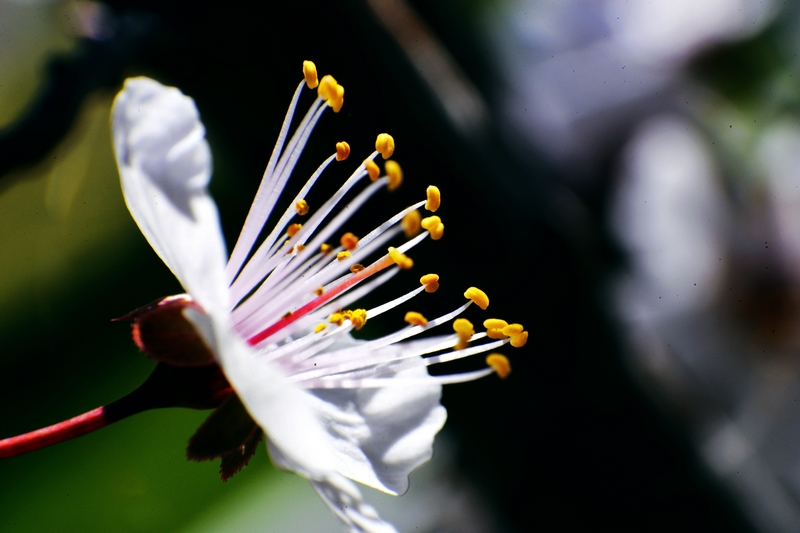 nEO_IMG_ ����΢��ʰ��     (27).jpg