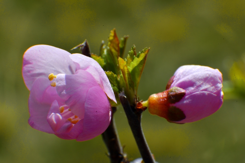 nEO_IMG_ ����΢��ʰ��     (28).jpg