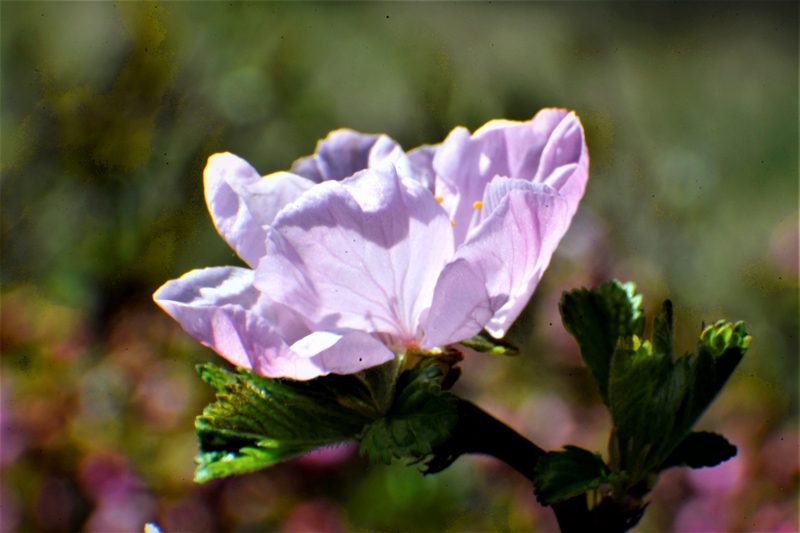 nEO_IMG_ ����΢��ʰ��     (29).jpg