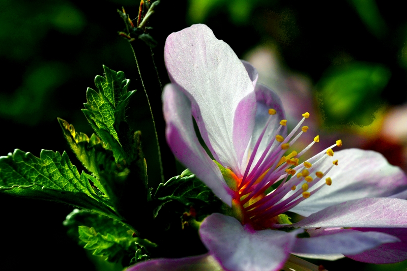 nEO_IMG_ ����΢��ʰ��     (30).jpg