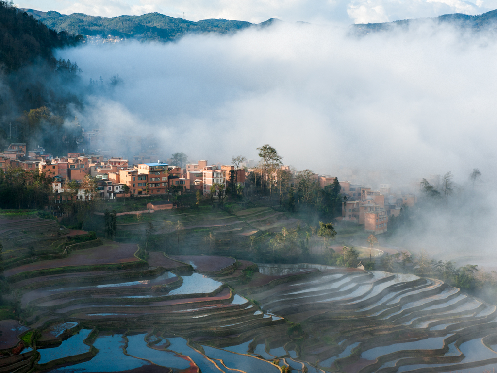 ����Ԫ������