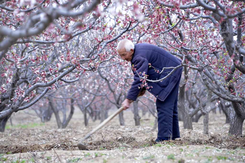 Picture 764863344.jpg