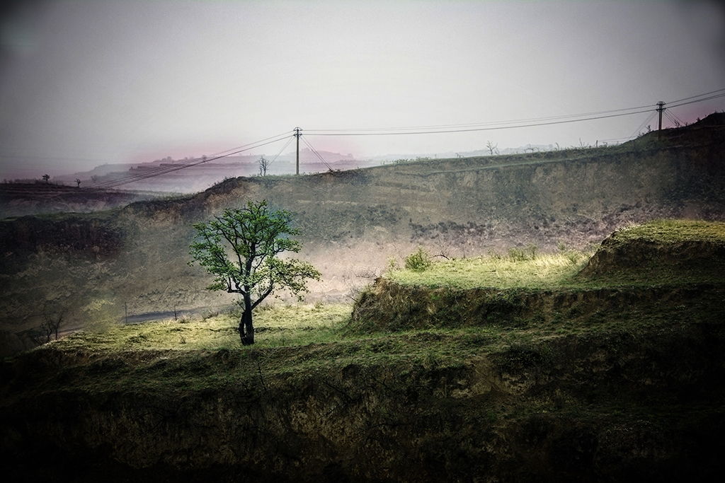 �����Ѷ�.......