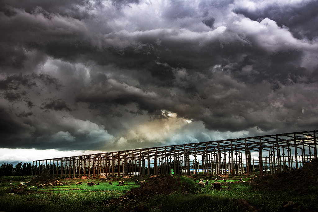 �����Ĺ�ҵ԰...........