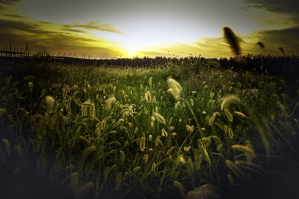 Ϧ������........