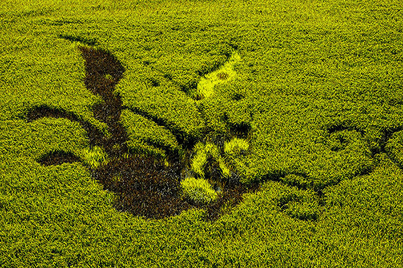 ����Ƥ�����桷������ 13899523109.JPG