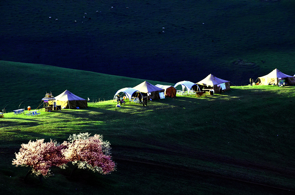 ���ӻ�������ϼ�������� 13899523109a.jpg