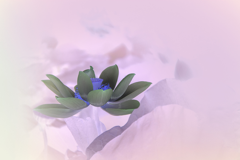 ��������..........