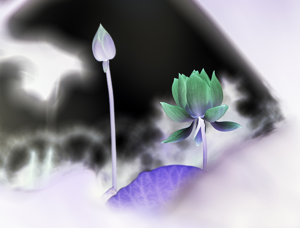 ��������2.......