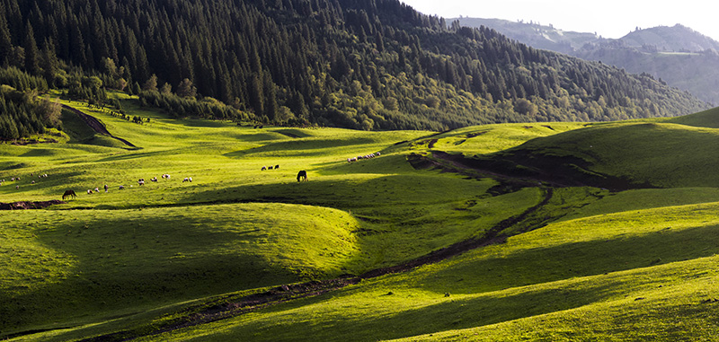 ����һ��