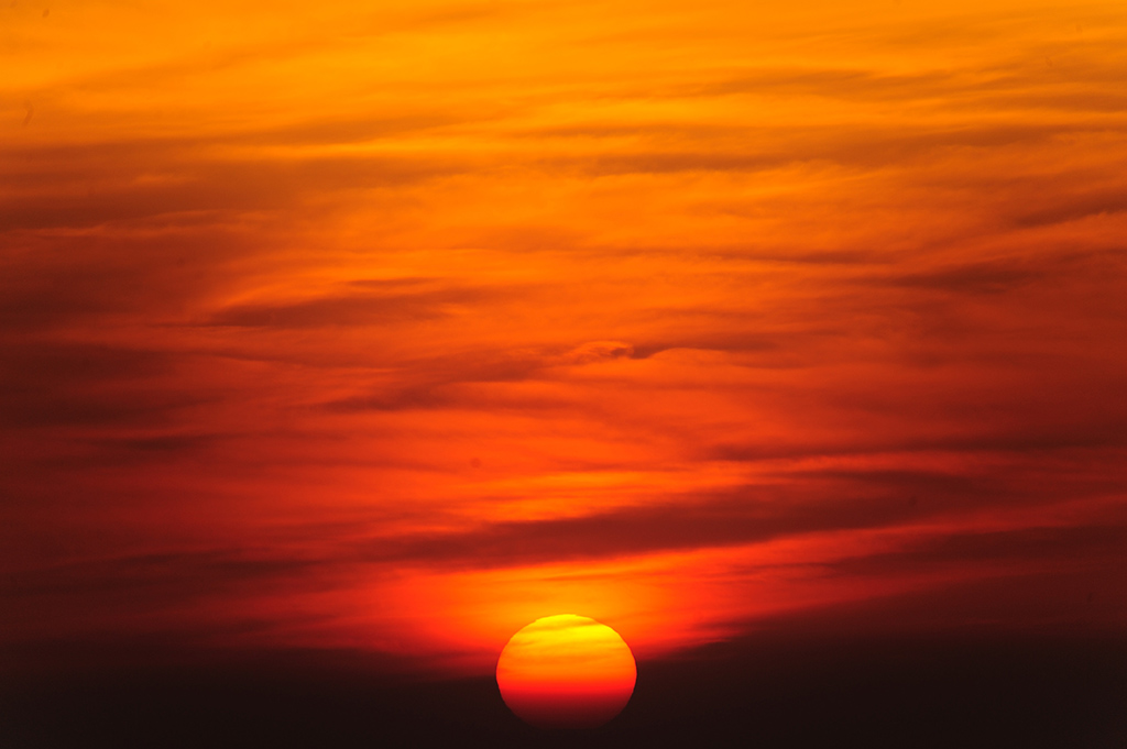 Picture 357773376.jpg