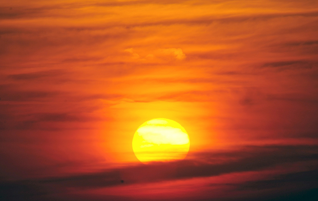 Picture 357736264.jpg