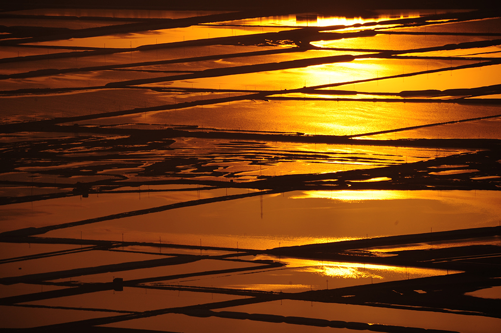 Picture 384503304.jpg