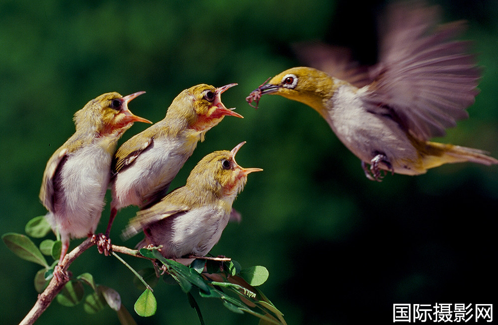 ��Ʒ�������۷��������ߣ������� - ����_����.jpg