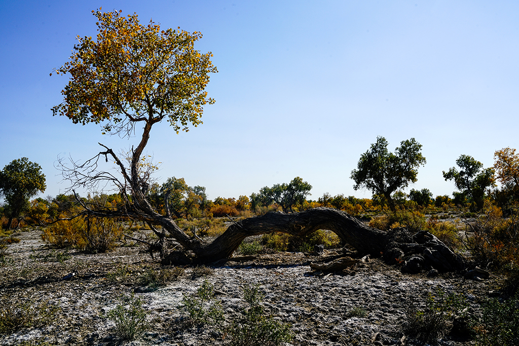 ��������ѿ��������13899523109a (2).jpg