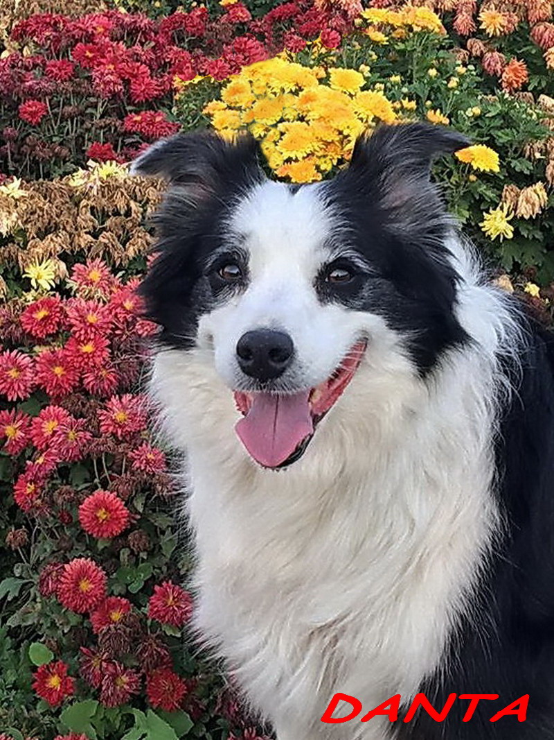 ���� (2) QQͼƬ20181010160347.jpg