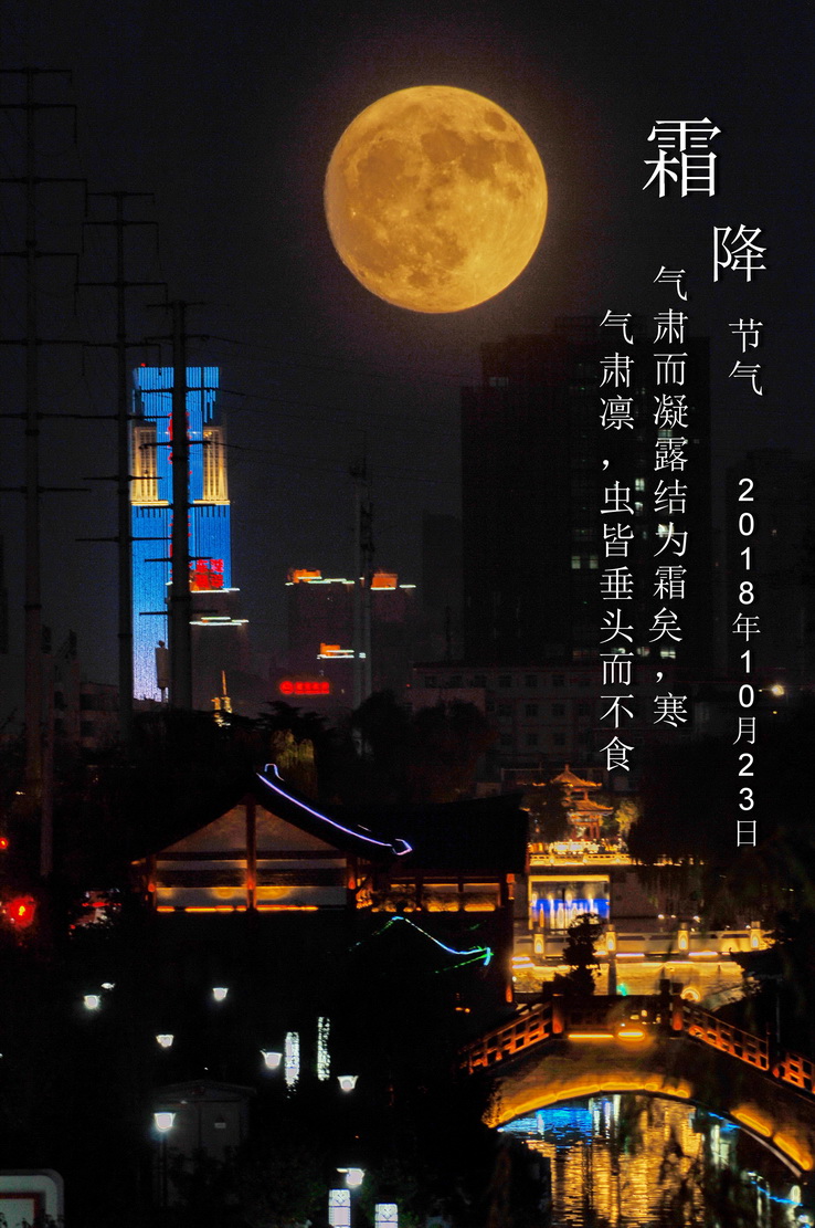 DSC_0006 - ���� (2) - ����.JPG