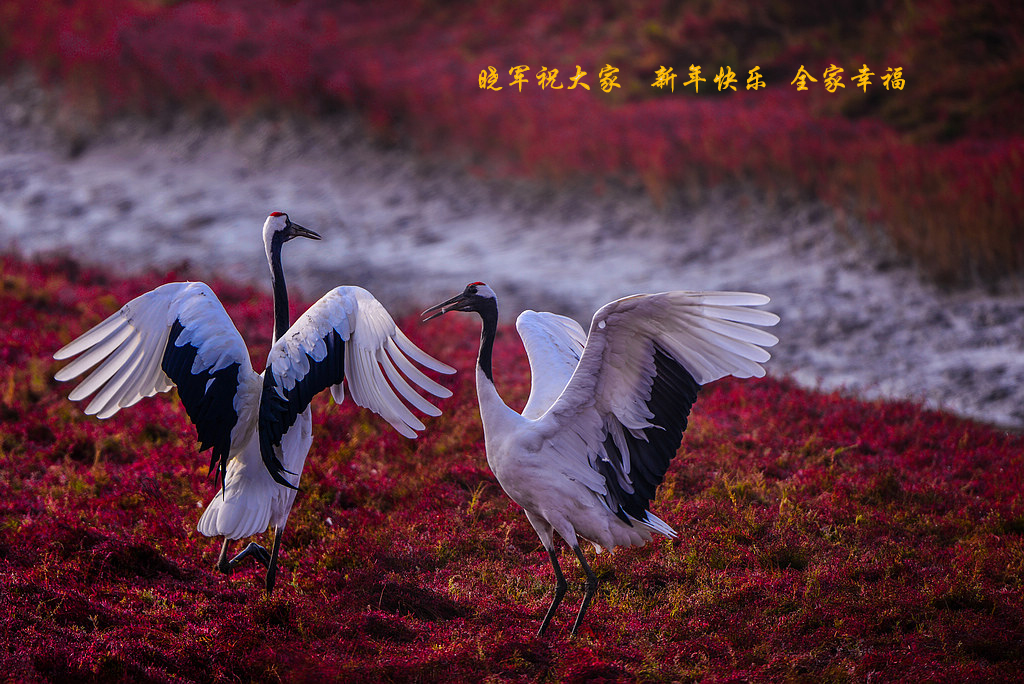 20141004-��԰  ������.jpg