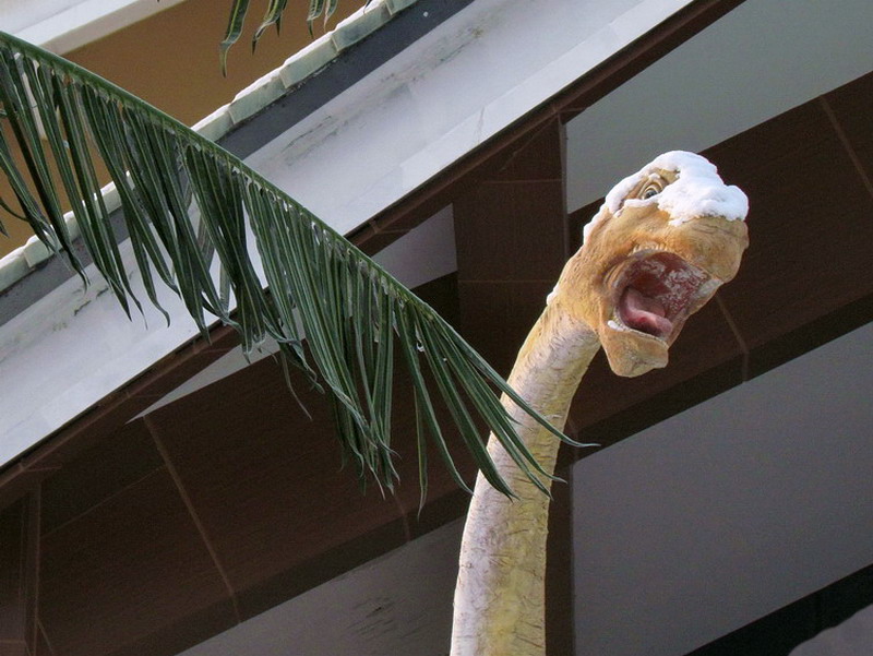 ���� IMG_9387.jpg