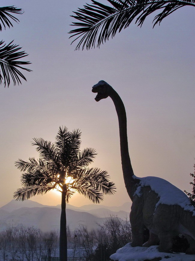 ���� IMG_9391.jpg