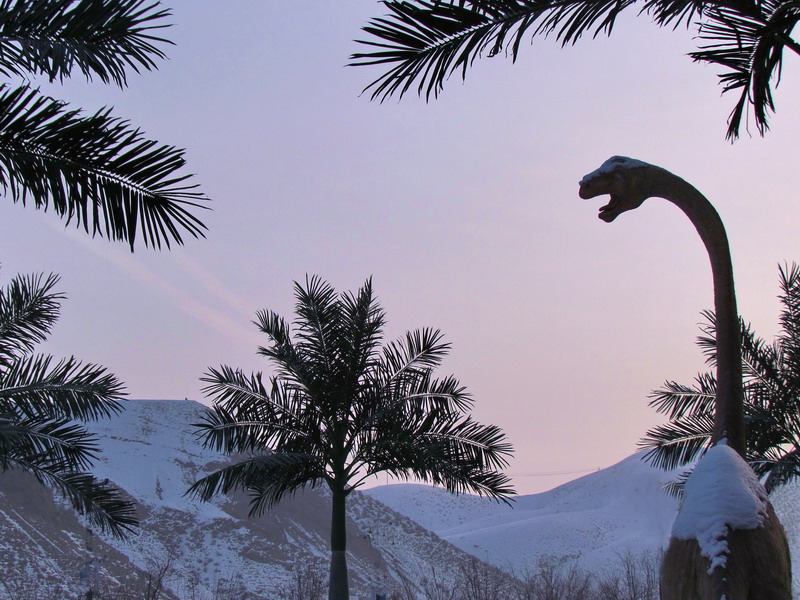 ���� IMG_9392.jpg